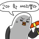 엘라ing스피닝