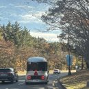 보문회관 | 경주여행┃보문단지 소노캄경주 디럭스 스위트 B, 풀앤스파, 행리단길 녹진, 십원빵 🏤