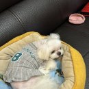 성해빌딩 | 사무실에서 한숨 쉬는 사람 일로와봐