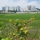 유창공업사 이미지