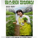 맘스호미