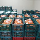 김치공장 이미지