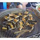 화심장어 이미지