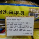 키다리아저씨