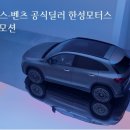 데일리모터스 이미지