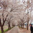영어교육도시아이파크공인중개사사무소 | 김포 사우아이파크 아파트 24평 소개합니다-구조,교통,인프라