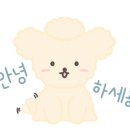 댕댕별 이미지