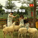 나트랑 아이랑 여행 당일치기 판랑 사막 투어 양떼목장 후기