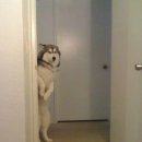 타이반 | [도쿄/일상] 늦었다고 생각할 때가 진짜 늦었다 | 2025.06