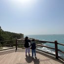 대풍바위 오토캠핑장 이미지