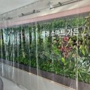 대전화정초등학교 이미지