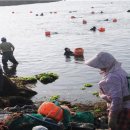 우도수산 이미지