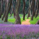 경주시립도서관 화장실 이미지