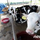 옹기종기 이미지