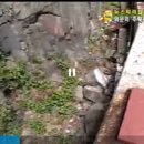 장림2동-17 이미지