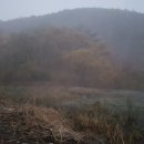 김전지 이미지