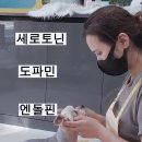 로댕 펫 살롱 이미지