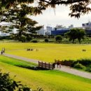 경안천 왕산리 이미지