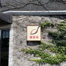 퐁낭아래 이미지