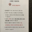 메종드유유 이미지