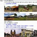 라온여행사 이미지