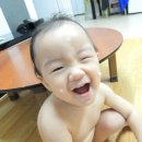 엔오투 이미지
