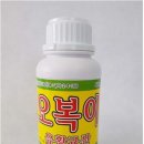 코시 이미지