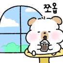 미태리파스타대구신매역점