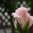 병욱농장 이미지