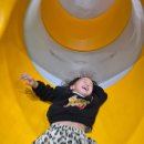 놀이랑 과학실험실 | 청주 실내 가볼만한 곳 충북과학체험관 크리스마스 행사 아이와 다녀온 후기