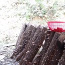 이정기농장 이미지