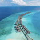 (주)오션스타국제여행사 | 몰디브 피놀루 리조트, 놓치면 100% 손해보는 악당강아지 공동구매