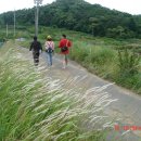 비엠더블유(B.M.W) 이미지