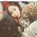 써니애견 미용실 이미지