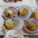 학동해송횟집 이미지