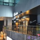 올라쿠치나 이미지