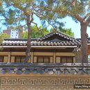 가례(남) | 서울 종로 가볼만한곳 운현궁 여유롭게 걷기 좋은 고궁