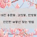 월드부동산중개 | 대전 용문동 안전한 부동산 찾는 5가지 꿀팁