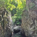 덕골 | 경북 포항 덕골계곡 계곡치기 등산, 계곡트래킹 물놀이산행