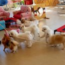 동탄우리유치원 이미지