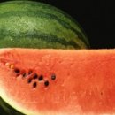 구월1동-17 이미지