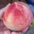 대성2리 경로당 이미지