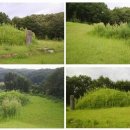 영원부원군 묘 이미지