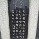 화순온천 Daum카페