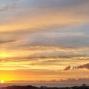 한동이젠 이미지