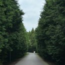 수평목장 이미지