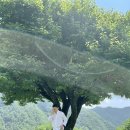 지우민박 이미지