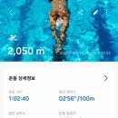 서울덕수초교 수영장 | 초등학교 최초 실내수영장 덕수수영장 자유수영(주말 일일 자유수영)