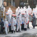 조태형농장 이미지