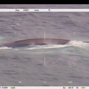 진호식품 이미지